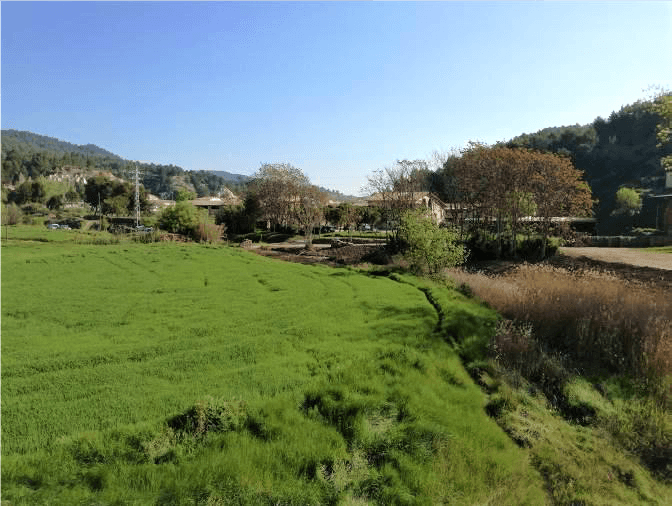 Tordell Stream as an Ecological Corridor